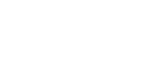 Carrera Autos